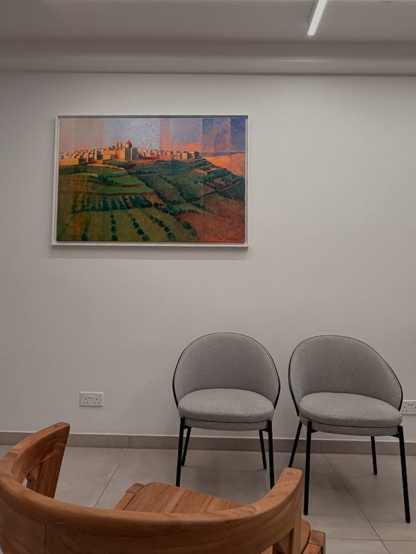 Therapy room with Maltese landscape painting